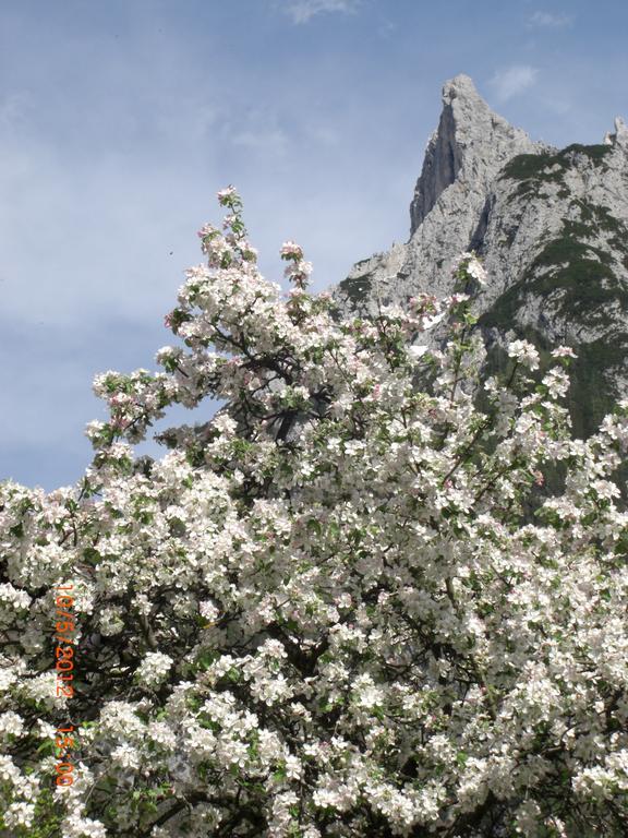 Almroeserl Mittenwald Exterior photo